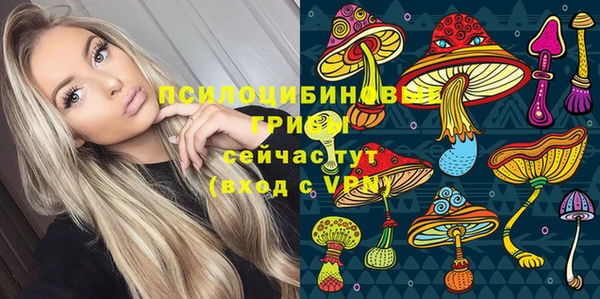 МДПВ Алексин